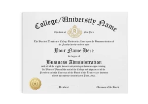 custom college and university diploma in business administration degree with shiny gold raised embossed seal