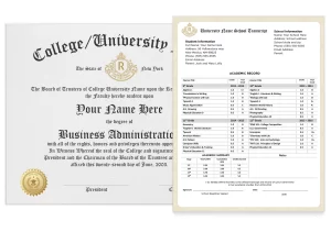 A college and university diploma with shiny gold embossed seal next to a set of academic transcripts featuring cousework and grades