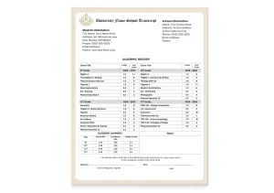 A set of college university fake transcripts on border security paper with a complete breakdown of degree and major courses and grades