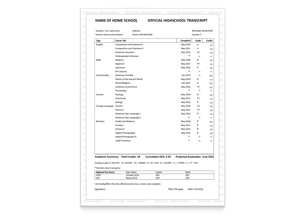 custom transcripts on border security paper with a complete breakdown of degree and major courses and grades