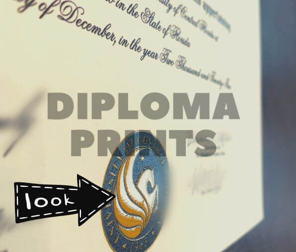 up close image of degree print from university showing off a realistic raised gold and blue seal