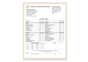 A set of college fake transcripts on border security paper with a complete breakdown of degree and major courses and grades