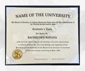 Novelty replacement bachelor diploma